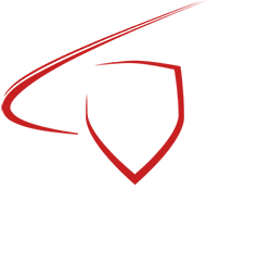 Newmanh-Escrima logo